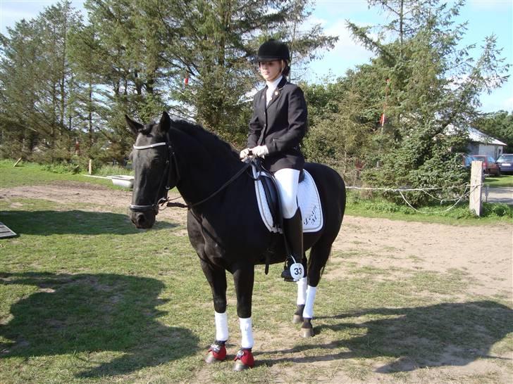 New Forest Vesterhedegård's Arak - stævne i ottersbøl ,  billede 1