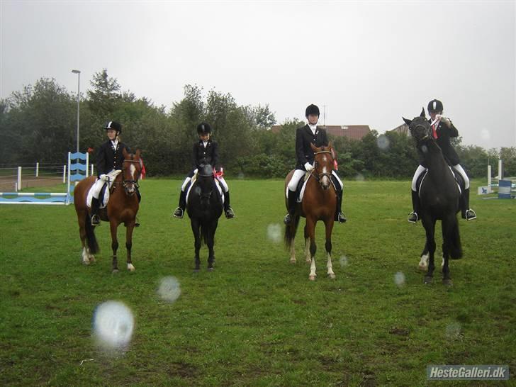 New Forest Vesterhedegård's Arak - Inden de skulle ind i hallen til præmie overrakelse , christina og arak´s første stævne sammen.! billede 4