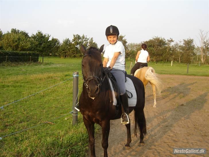 New Forest Vesterhedegård's Arak - træning , Christina og Arak - monty og pia bag ved ,  billede 8