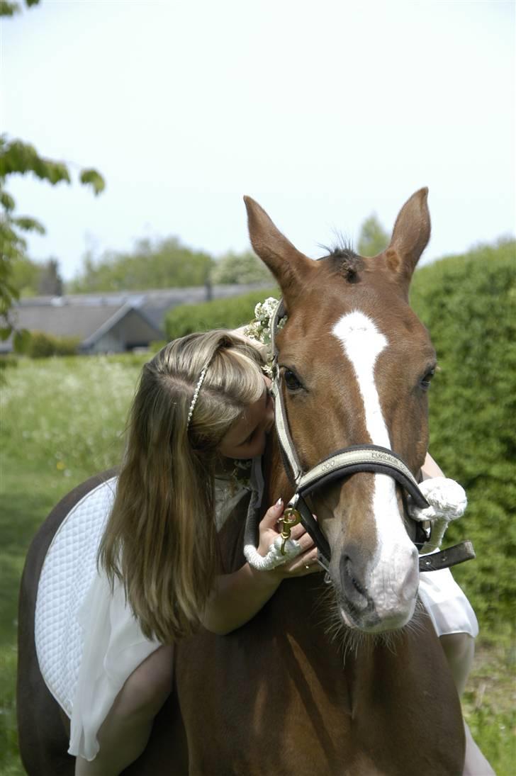 New Forest Karmalita Lee <3 SOLGT:-( - Nr. 14 til min konfirmation :´) hvor Willow kom, jeg blev så glad <3<3 **NYT** billede 14