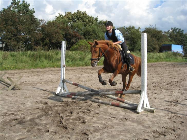Anden særlig race Sweet Sunshine EFTERLYSES - mig og Sun fotograf: janni (ejer) første gang vi rigtig springer billede 12