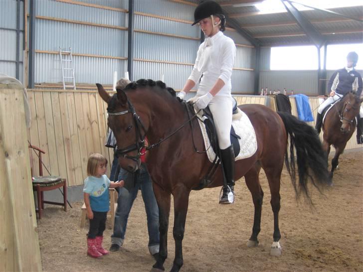 New Forest Elmholts Chanell  - parade på opvarmningen - foto: mor <3 billede 11