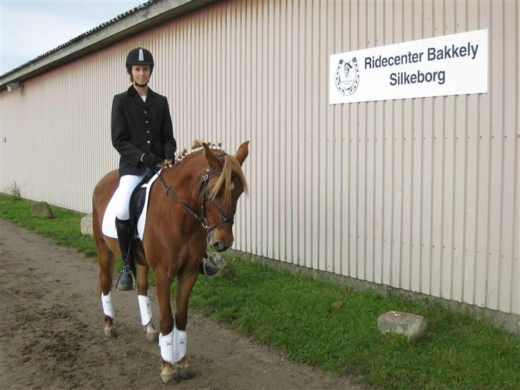 Anden særlig race  † Gaya - Dressurstævne med Natasha billede 8
