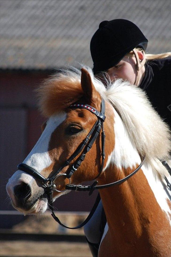 Anden særlig race Lucas  - Love you! <3 billede 6