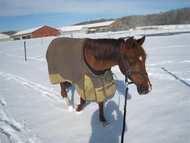 Anden særlig race  Escape  - uhh det er dejligt at komme ind fra folden i det kolde vejr hva? billede 5