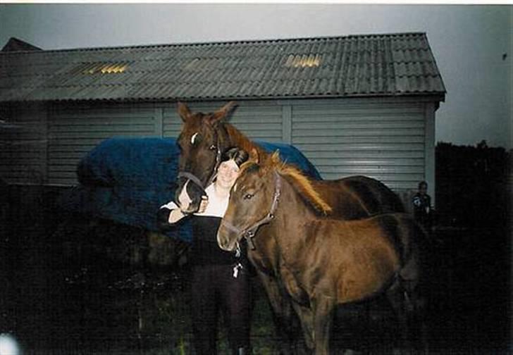 Anden særlig race Denise Springtime (solgt) - Denise 1år gammel ca.  billede 14