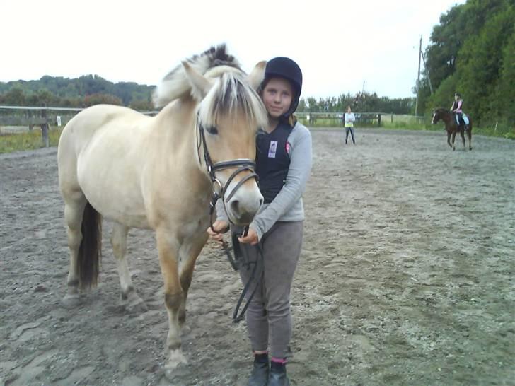 Fjordhest julie *NYT BILLED kig!! - nadja + julie==<´3 hi soffe i baggrunden  billede 11