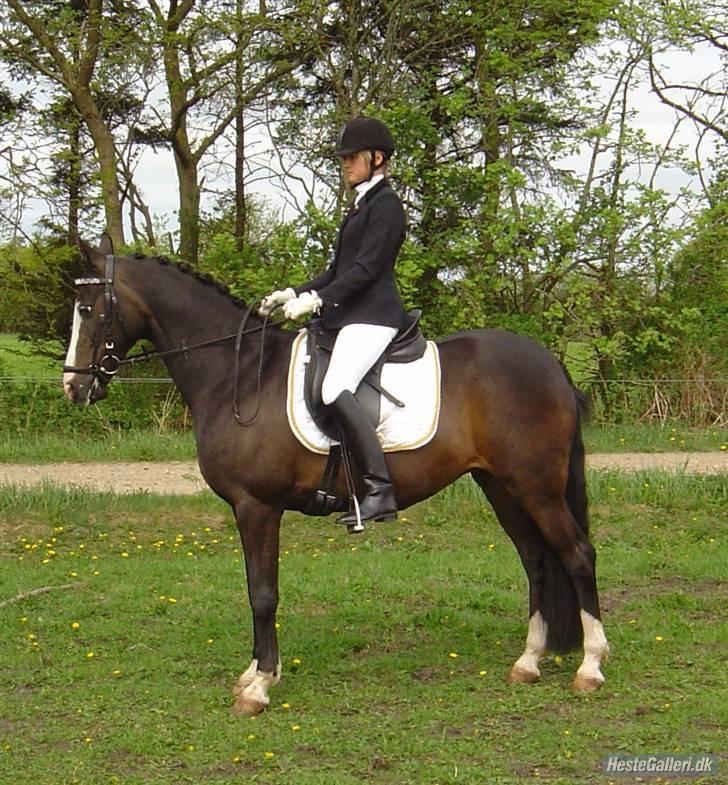 Anden særlig race Miss Ma Matiere - Camilla til stævne i Spjald. billede 2