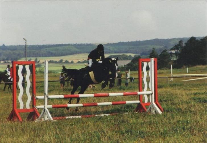 Anden særlig race Miss Ma Matiere - Mig til stævne i Spjald. billede 3