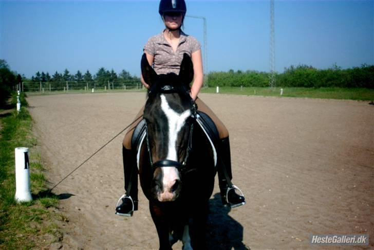 Anden særlig race Miss Ma Matiere - Camilla. billede 4