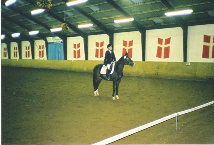 Anden særlig race Miss Ma Matiere - Mig til stævne i Ringkøbing. billede 11