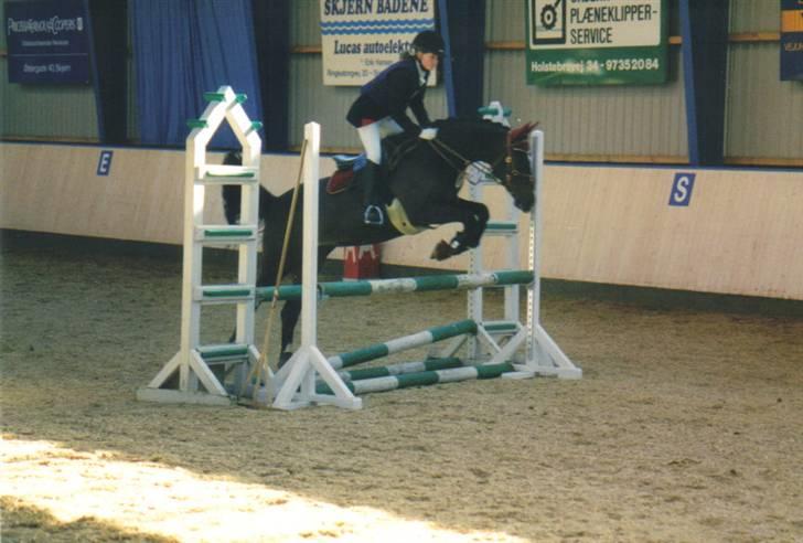 Anden særlig race Miss Ma Matiere - Mig til stævne i Skjern. billede 12