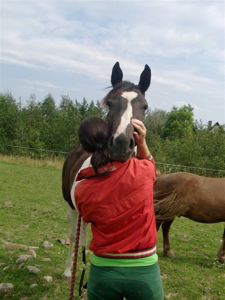 Pinto Søgaards Masterpiece  billede 13