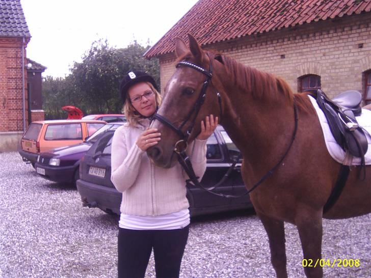 Dansk Varmblod Zenobie<3 - Zenobie inden rideturen billede 3