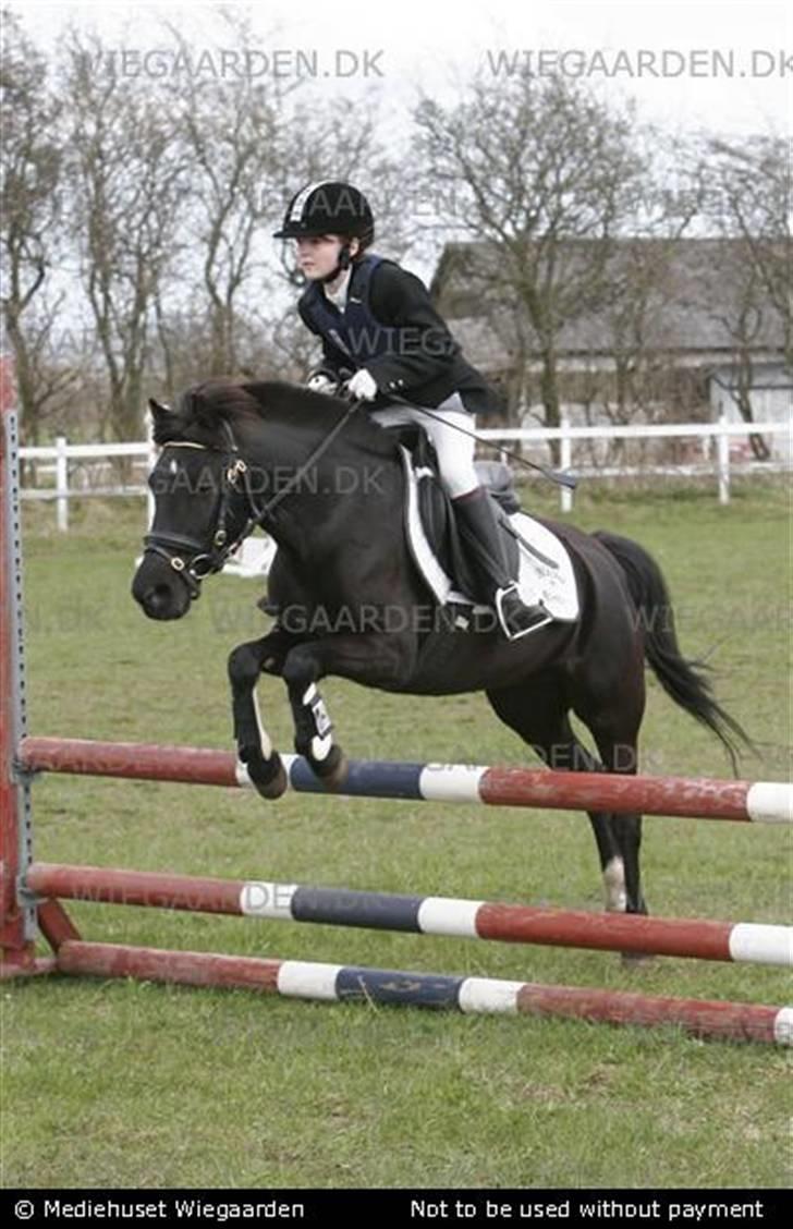 DSP Blackie<3 - Mig og Blackie til stævne i Uggerhalne i 2006.  Vandt cup-klassen. ;) billede 13