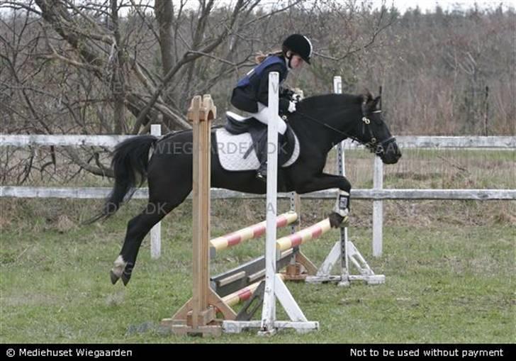 DSP Blackie<3 - Mig og Blackie til stævne i Uggerhalne i 2006.  Vandt cup-klassen. ;) billede 14