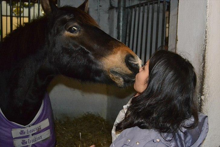 DSP Markant <3 - Markant og jeg hygger lidt (; Foto: Jonas Aas. billede 16