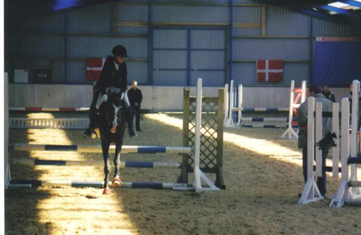 Anden særlig race Miss Ma Matiere billede 18