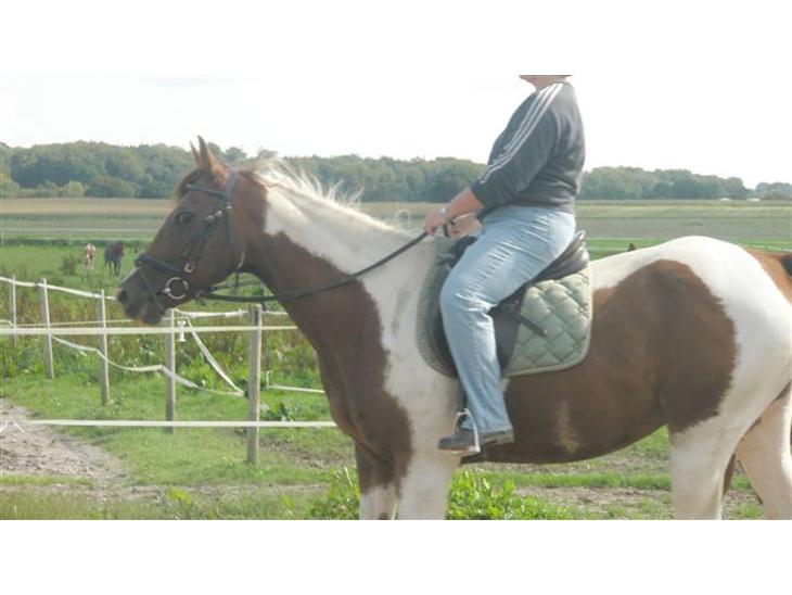 {{currentPhoto.altText}} billede {{currentPhoto.number}}