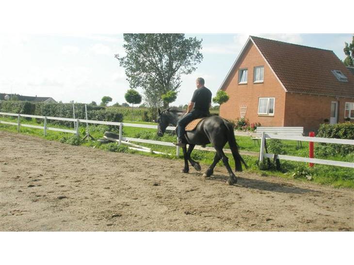 {{currentPhoto.altText}} billede {{currentPhoto.number}}