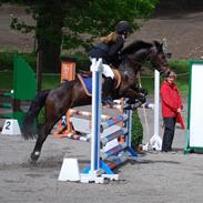 Anden særlig race Pennies From Heaven