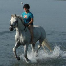 Connemara Marskenkols Mc Cormick