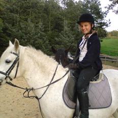 Anden særlig race Shah Noir's Shana bey