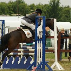 Anden særlig race Twist SOLGT:'(