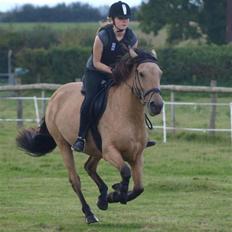 Anden særlig race Lydia