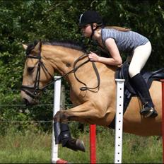 Anden særlig race Lydia