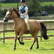 Anden særlig race Lydia