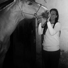 Palomino Semper Fidelis Blue