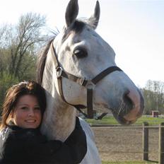 Arabisk fuldblod (OX) Zhazir Ibn Malik SOLGT:'(