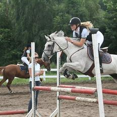 Connemara Jenny'S Rocket-SOLGT 