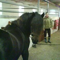 Dartmoor machel solgt