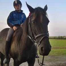 Traver gutta bee # R.I.P #