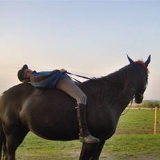 Traver gutta bee # R.I.P #