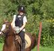 Hollandsk Sportspony Esprit