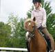 Haflinger Tarzan
