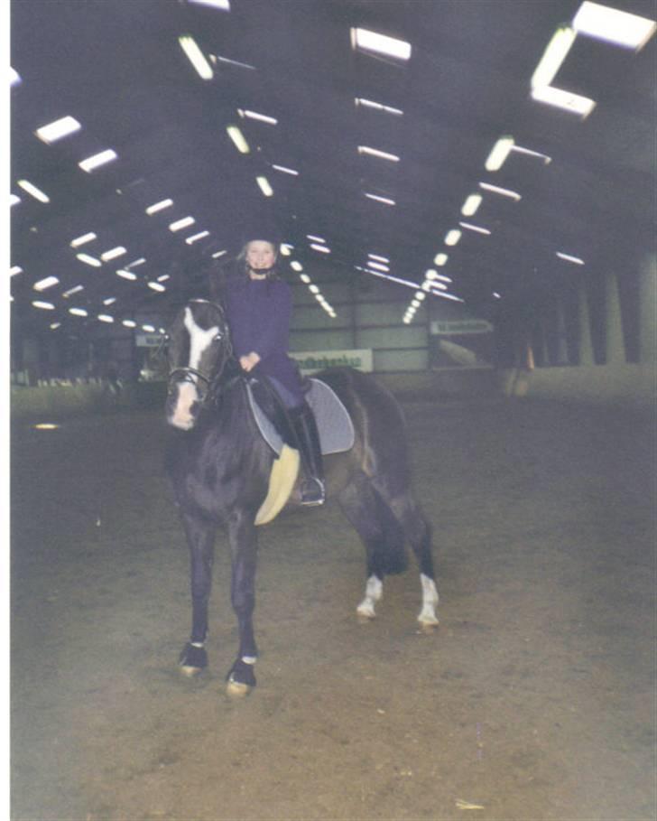 Anden særlig race Miss Ma Matiere - Camilla og Matiere da vi næste lige havde fået hende  billede 19