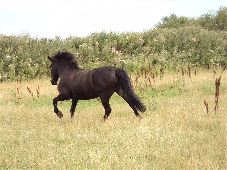 Anden særlig race BOBBY - :*<3 billede 16