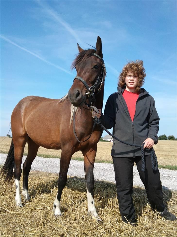 Anden særlig race Fighter billede 19