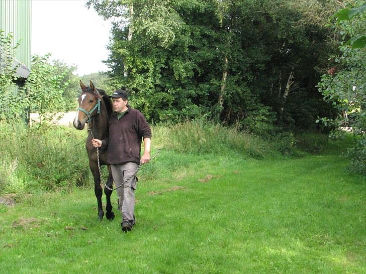 Anden særlig race Ramonas Dodo - August 2008 billede 20