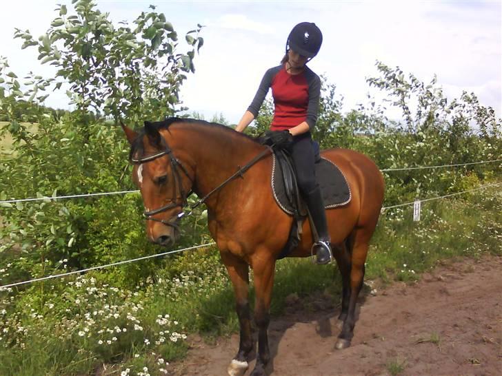 Anden særlig race Delight - johanne og delight billede 16