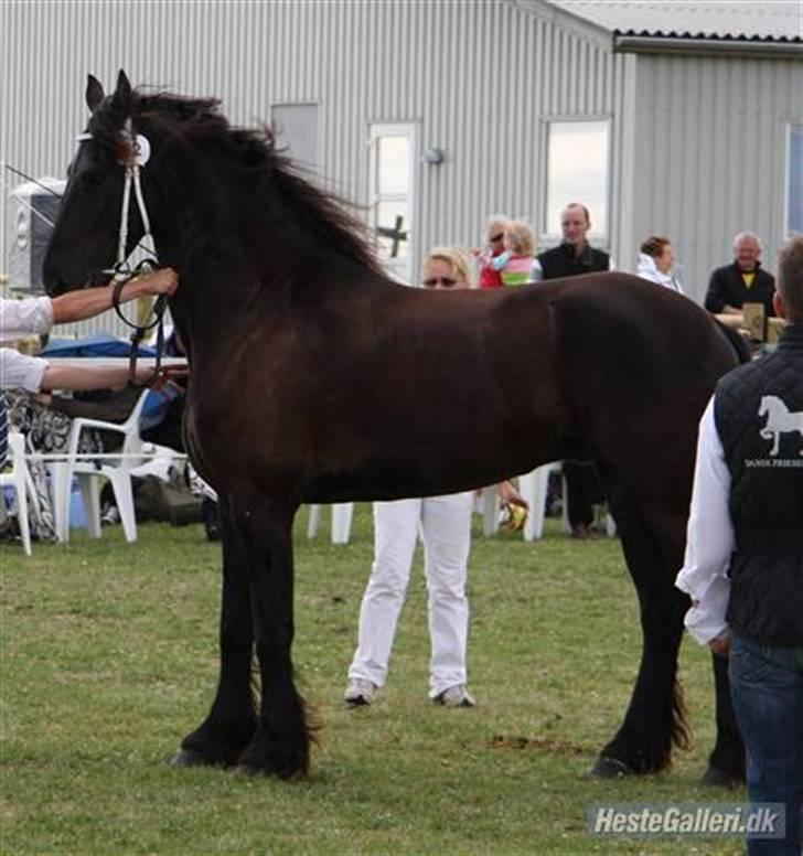 Frieser Hambrugs Othello - <3 billede 1