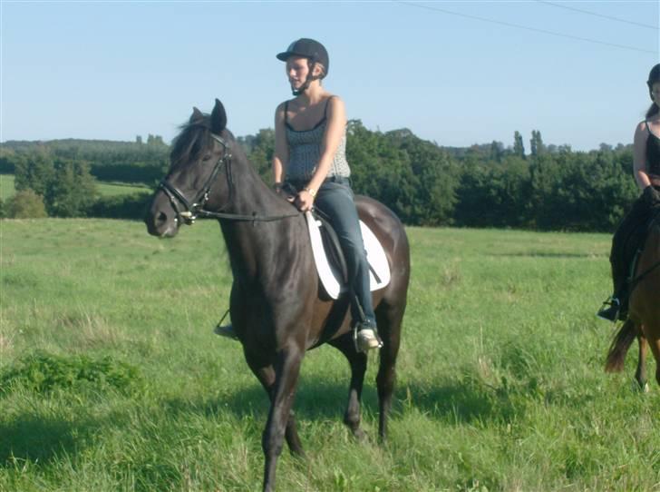 Traver In Ger Solgt - Fie rider (Nybegynder) billede 19