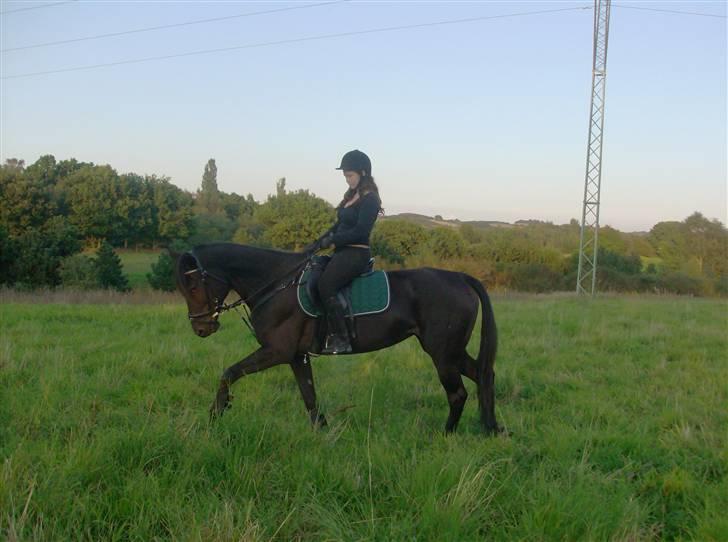 Traver In Ger Solgt - Mig der træner In Ger billede 20