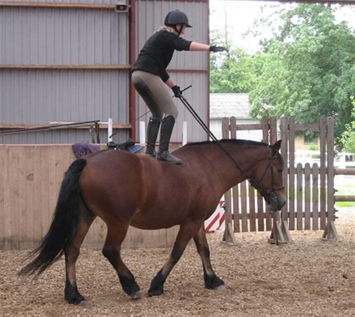 Anden særlig race Tulle *Gammel part* - Skulle lige prøve og stå op :D billede 12