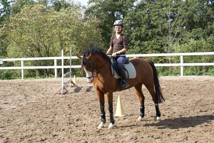 Anden særlig race Natasja i ridning solgt billede 1