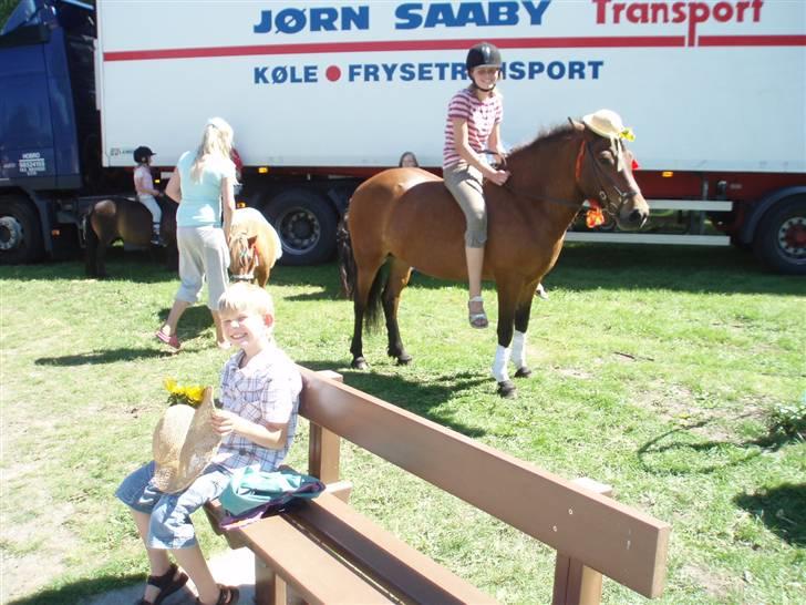 Islænder soya billede 8